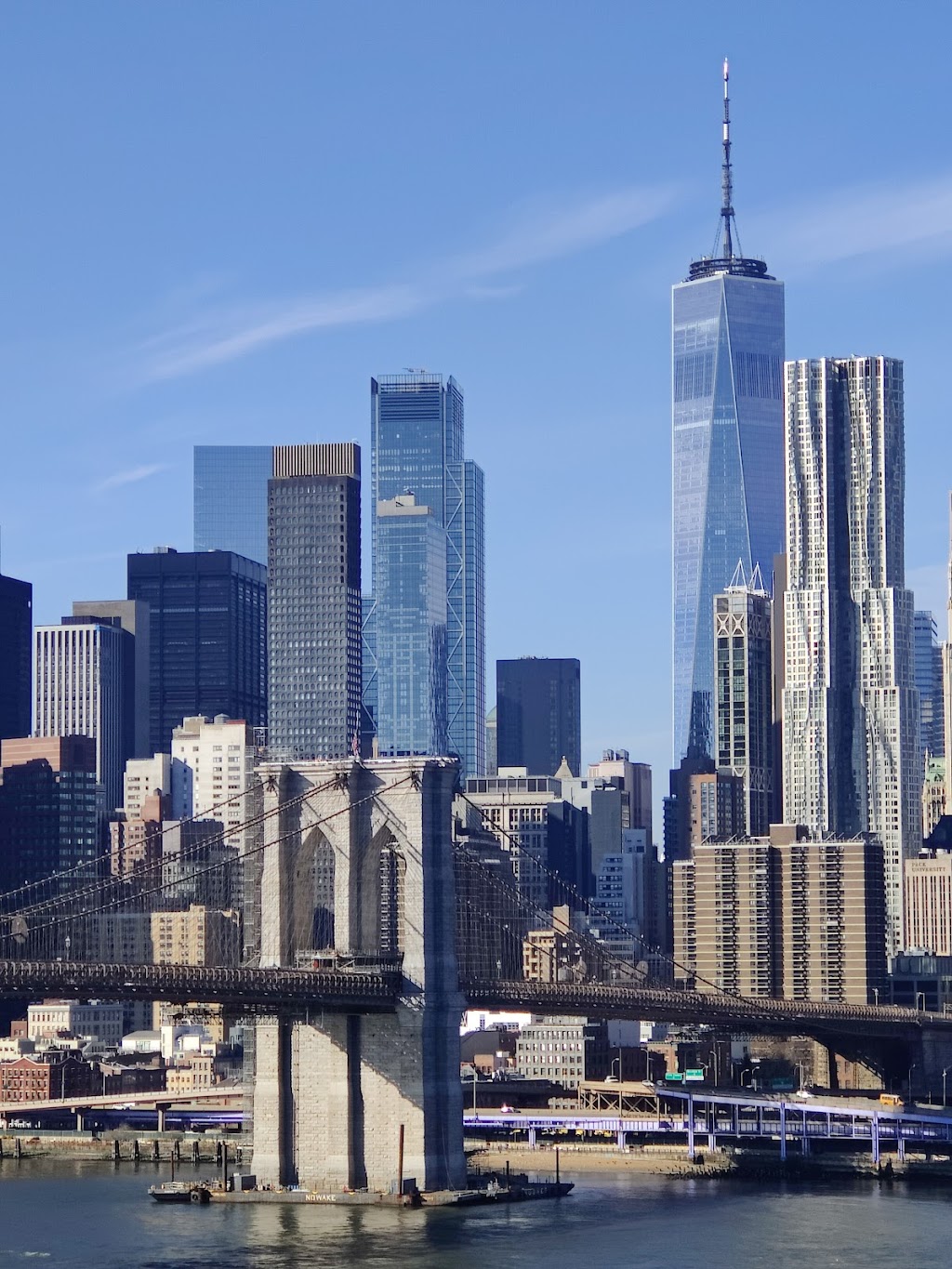 Brooklyn Bridge Park Dog Run