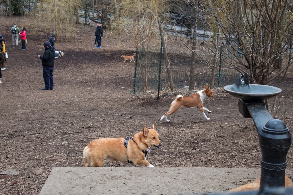 Hillside Dog Park